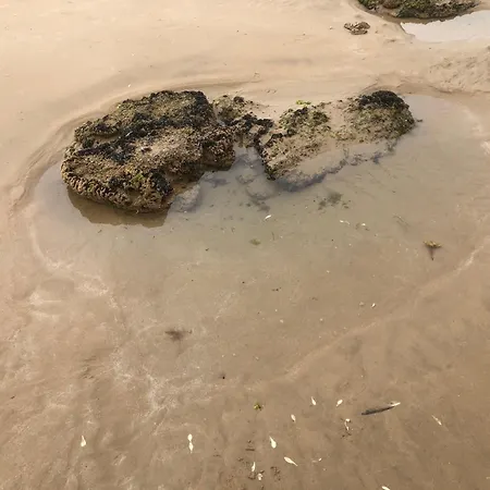 Maison De Proche Hébergement de vacances Les Sables-dʼOlonne